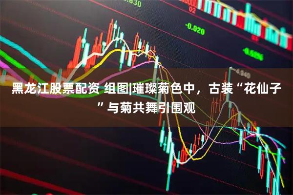 黑龙江股票配资 组图|璀璨菊色中，古装“花仙子”与菊共舞引围观